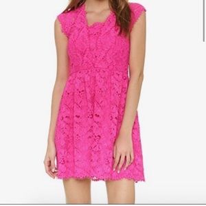 NWT Shoshanna Fuchsia Lace Fit and Flare Dress 10 💕💕